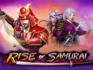 Rise Of Samurai game thumbnail